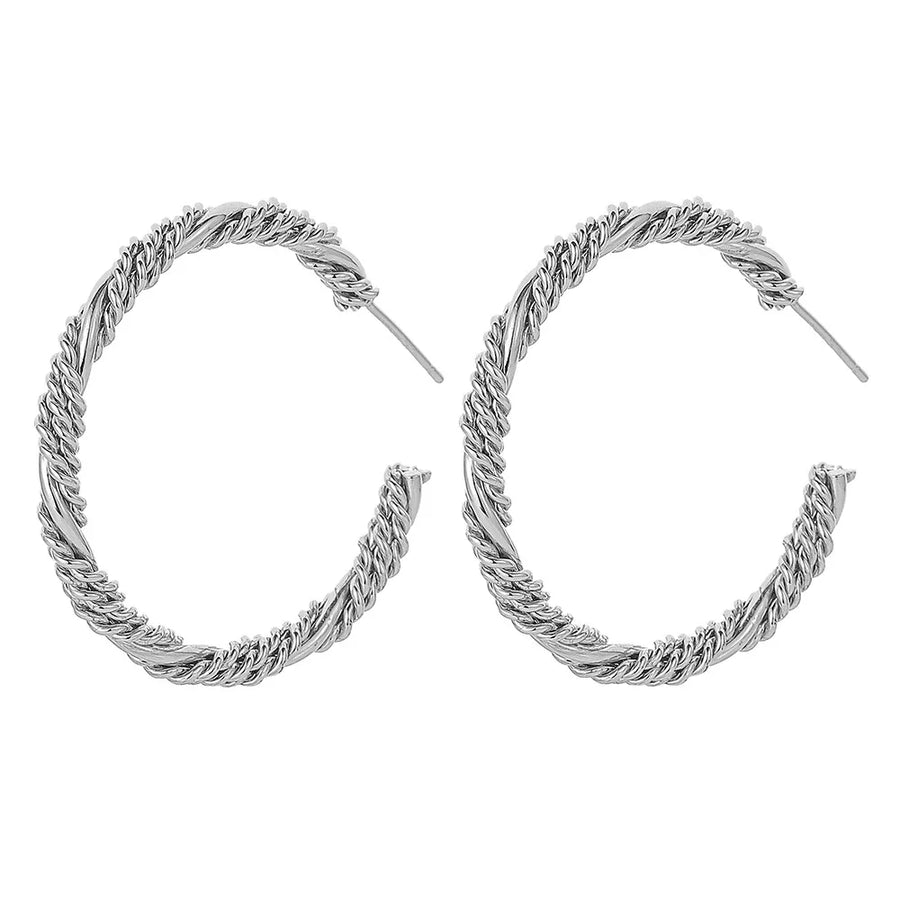 Stainless Steel Chain Earrings